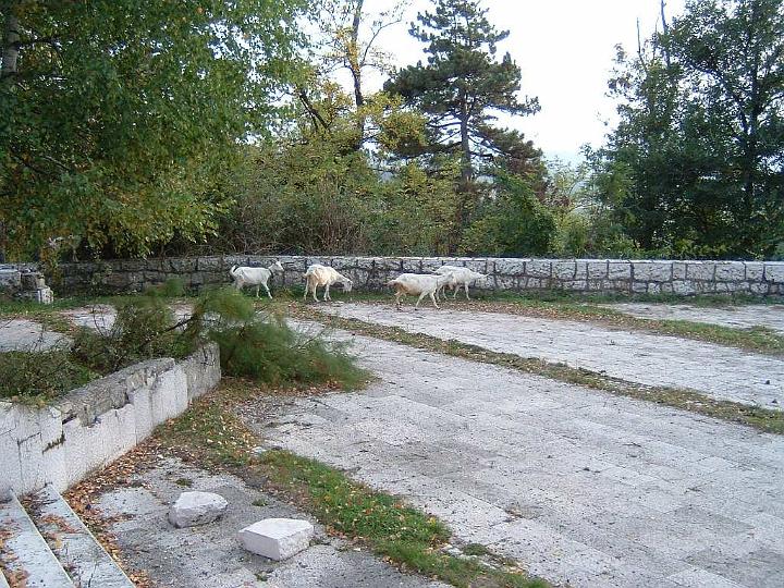 Sarajevo-Tito's Courtyard 3.jpg